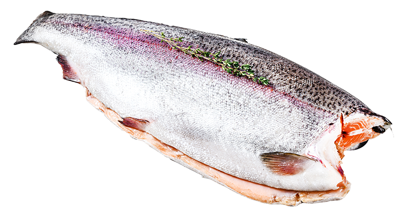 Fisch - Metzgerei Bauer in Frasdorf